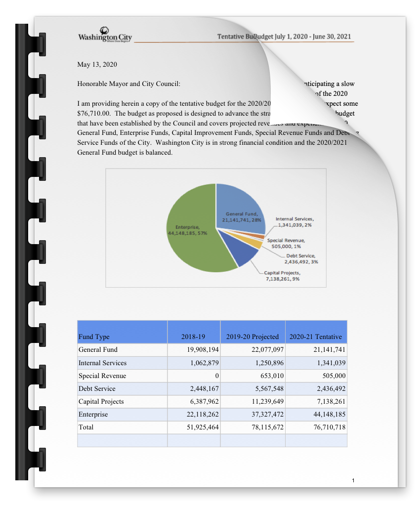 sports team budget spreadsheet pdf -proposal -instructions